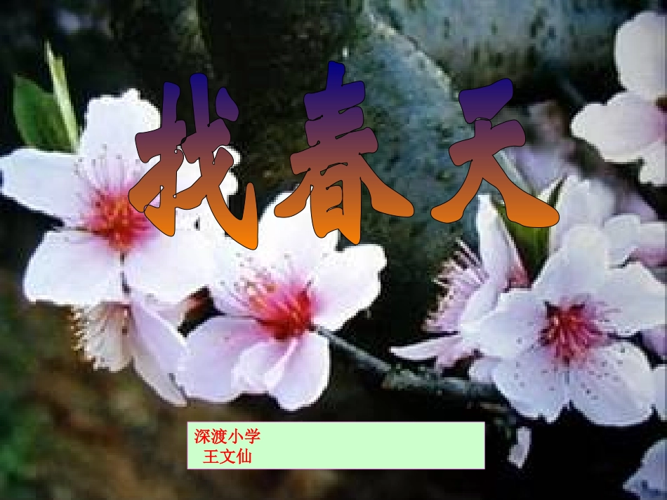 《找春天》课件【24页】_第1页