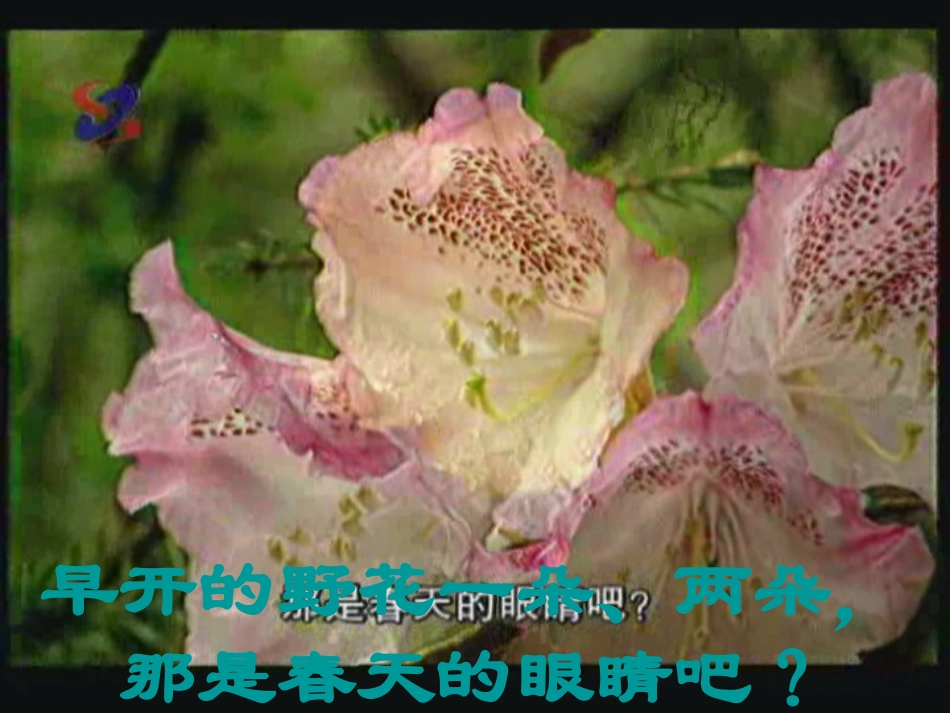 《找春天》课件【24页】_第3页