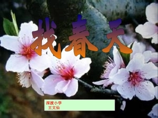 《找春天》课件【24页】