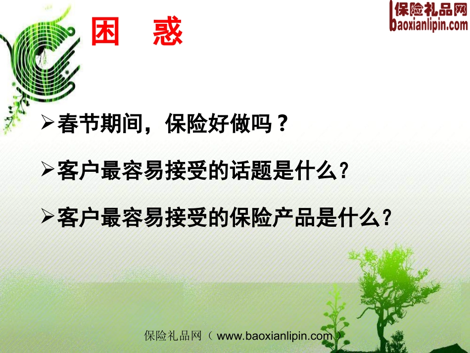 林雪燕分享年终奖压岁钱转投保险27页_第2页