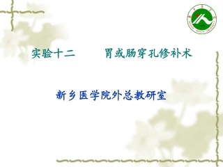 实验十二     胃或肠穿孔修补术