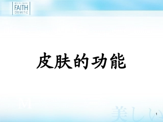皮肤的功能1