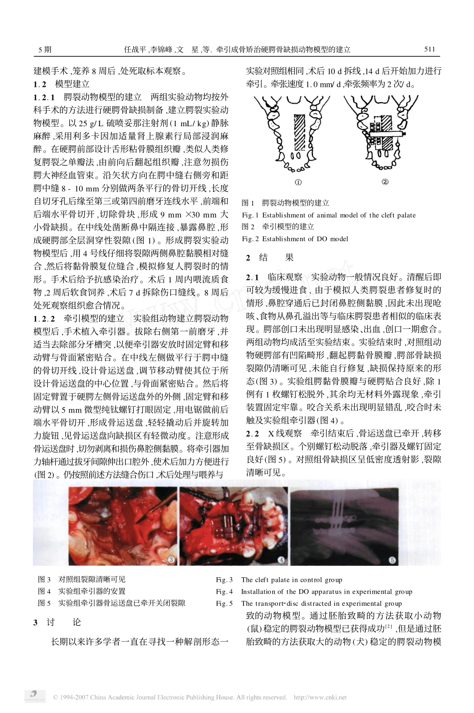 牵引成骨矫治硬腭骨缺损动物模型的建立_第2页