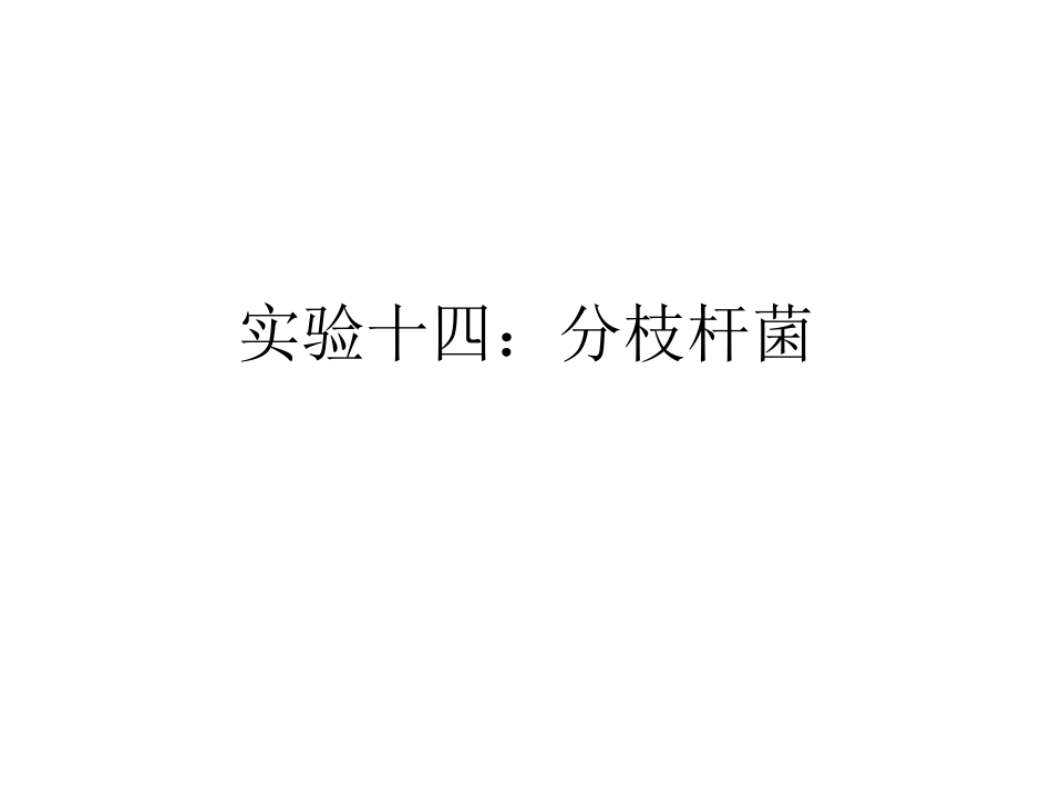实验十四：分枝杆菌_第1页