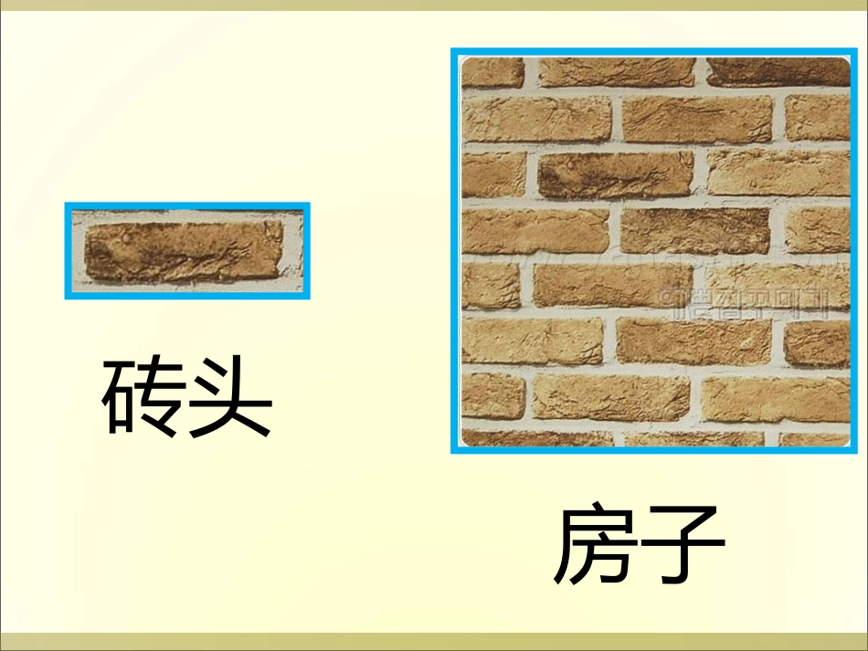 动物的结构层次_第1页