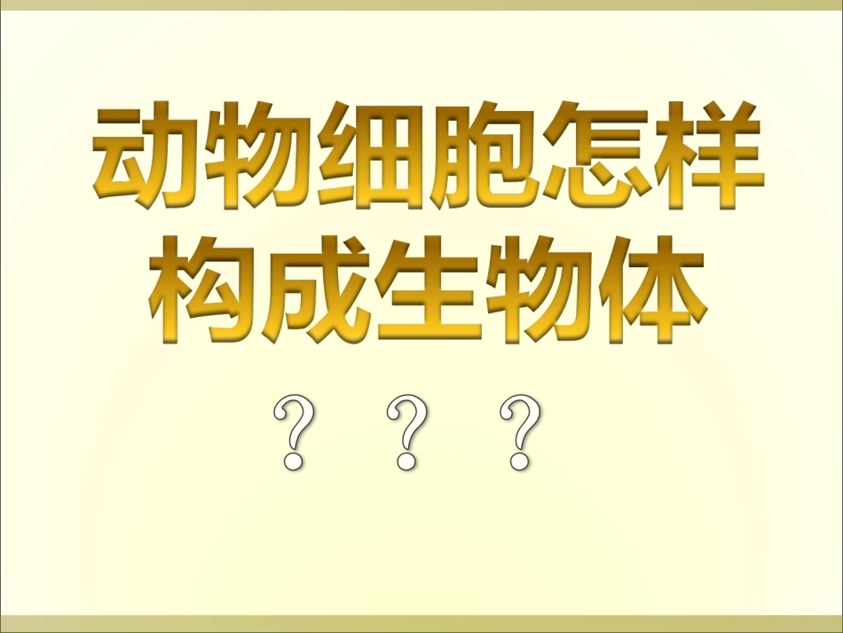 动物的结构层次_第3页