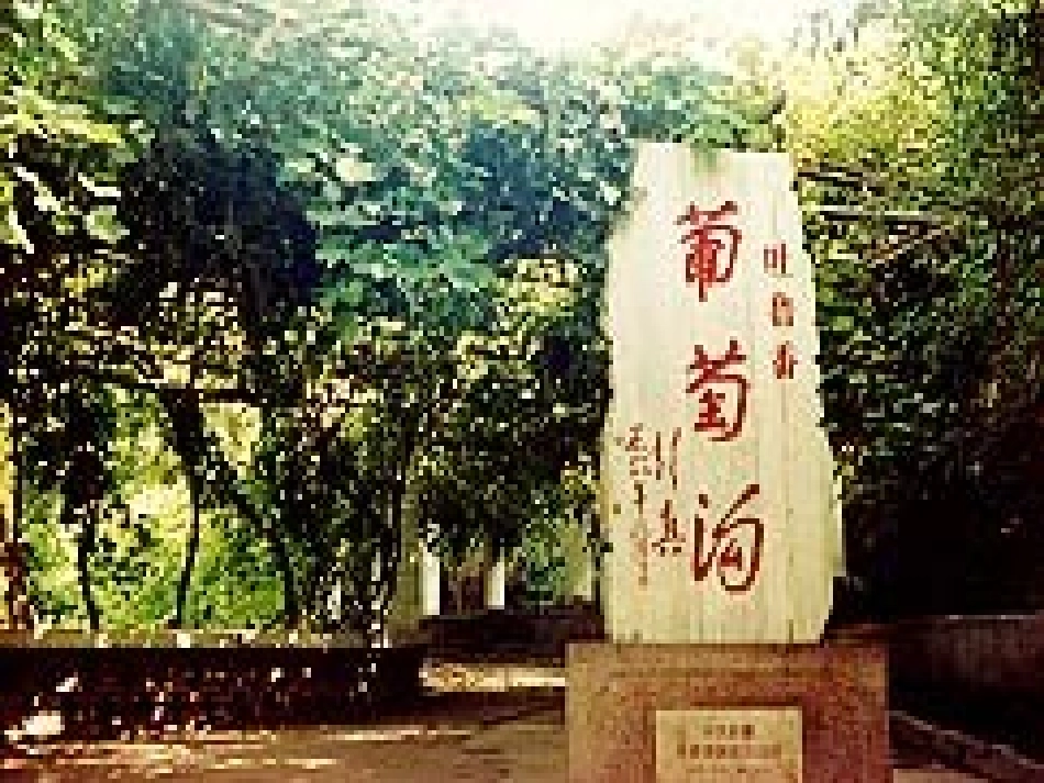 葡萄沟 (3)_第1页