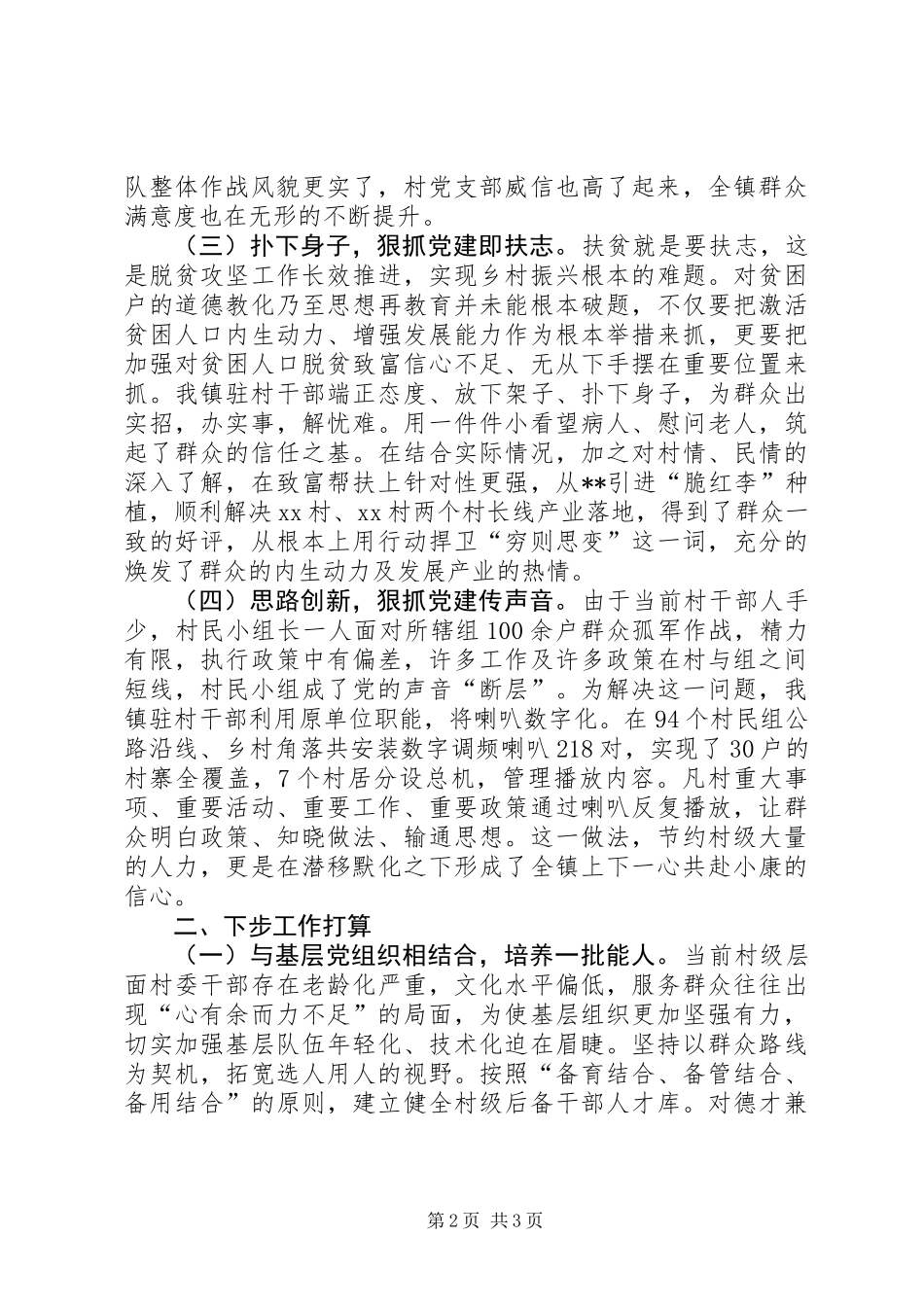 乡镇驻村工作队工作总结_第2页