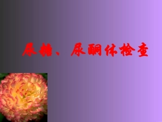 尿糖、尿酮体检查