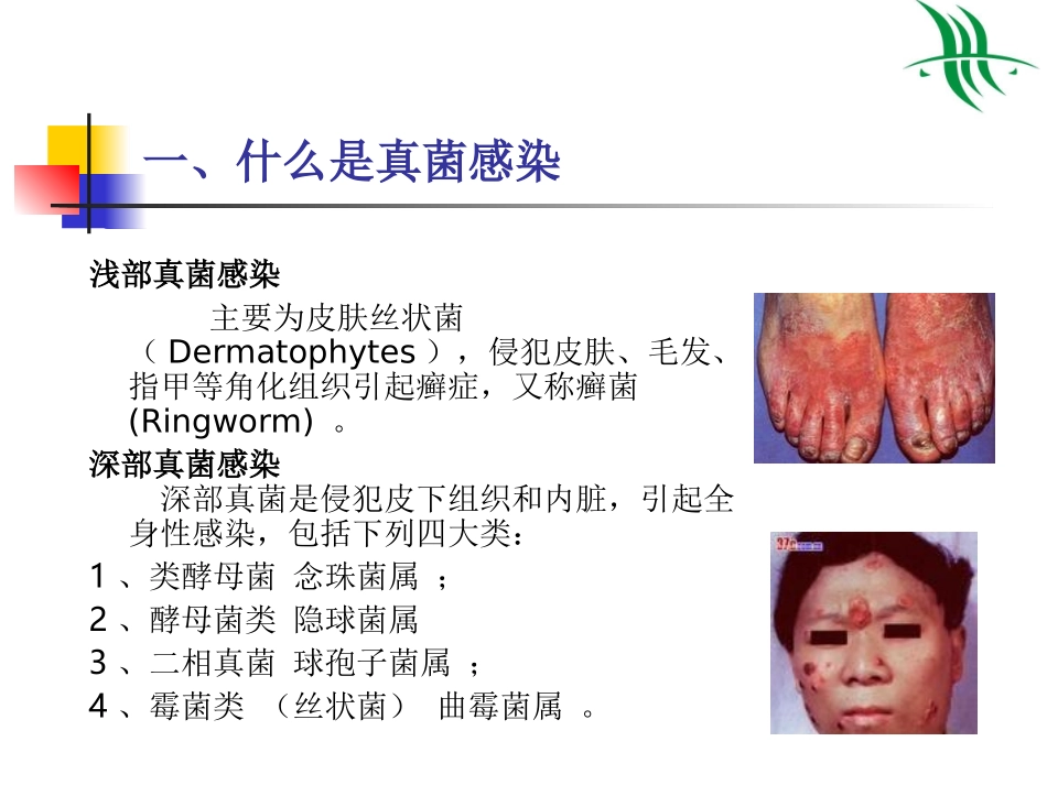深部真菌感染基础知识_第3页