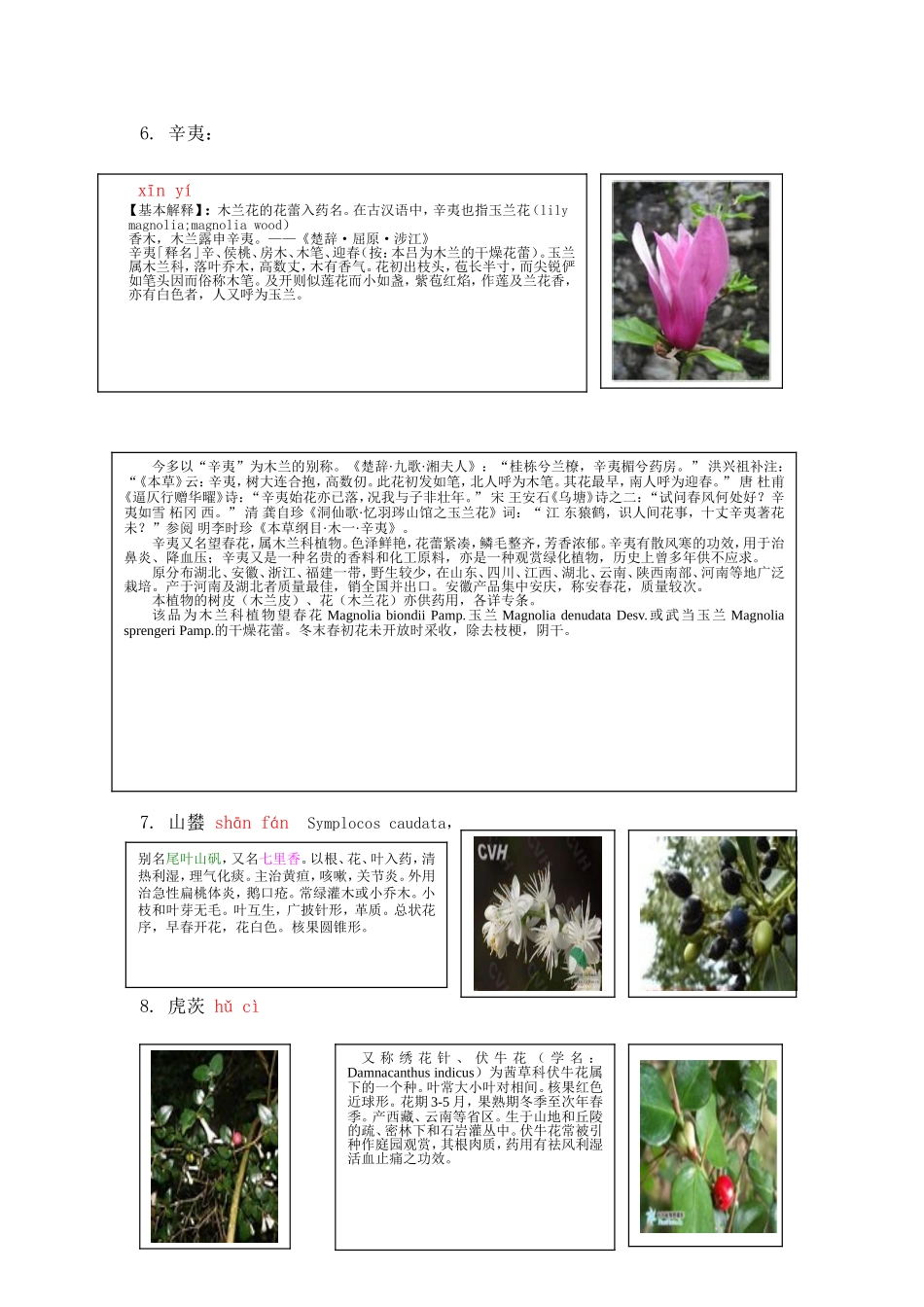 《彭淦竹枝词十三首_第2页