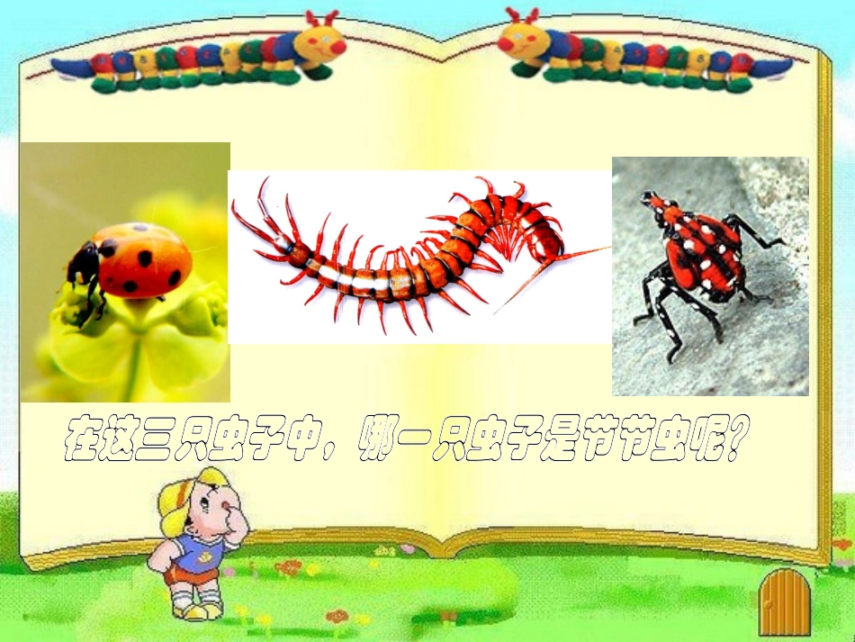 美术课件《节节虫》_第2页