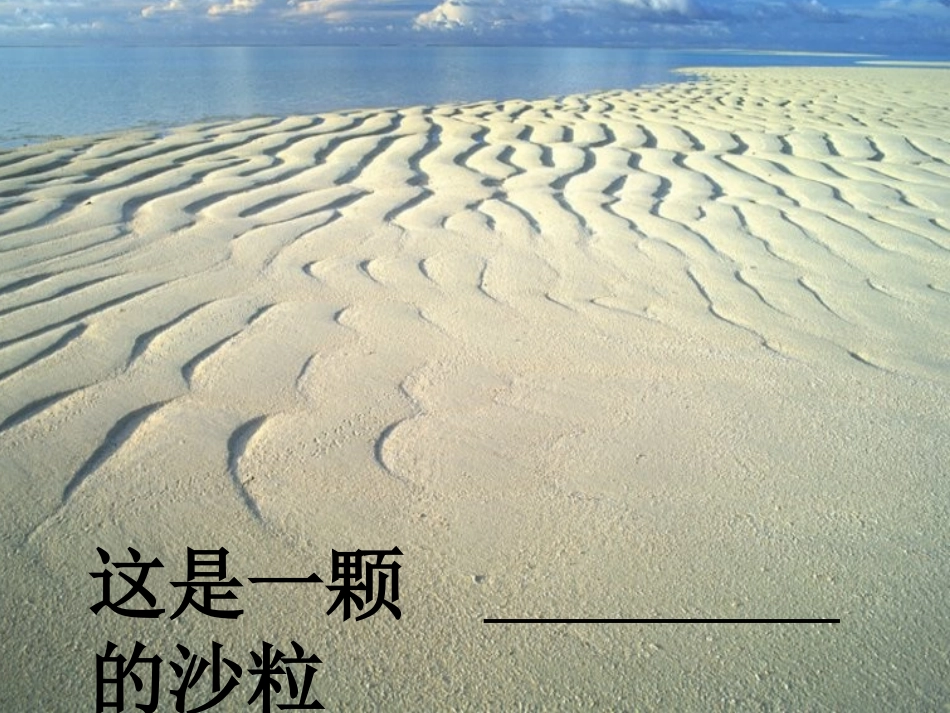 圆圆的沙粒000_第2页