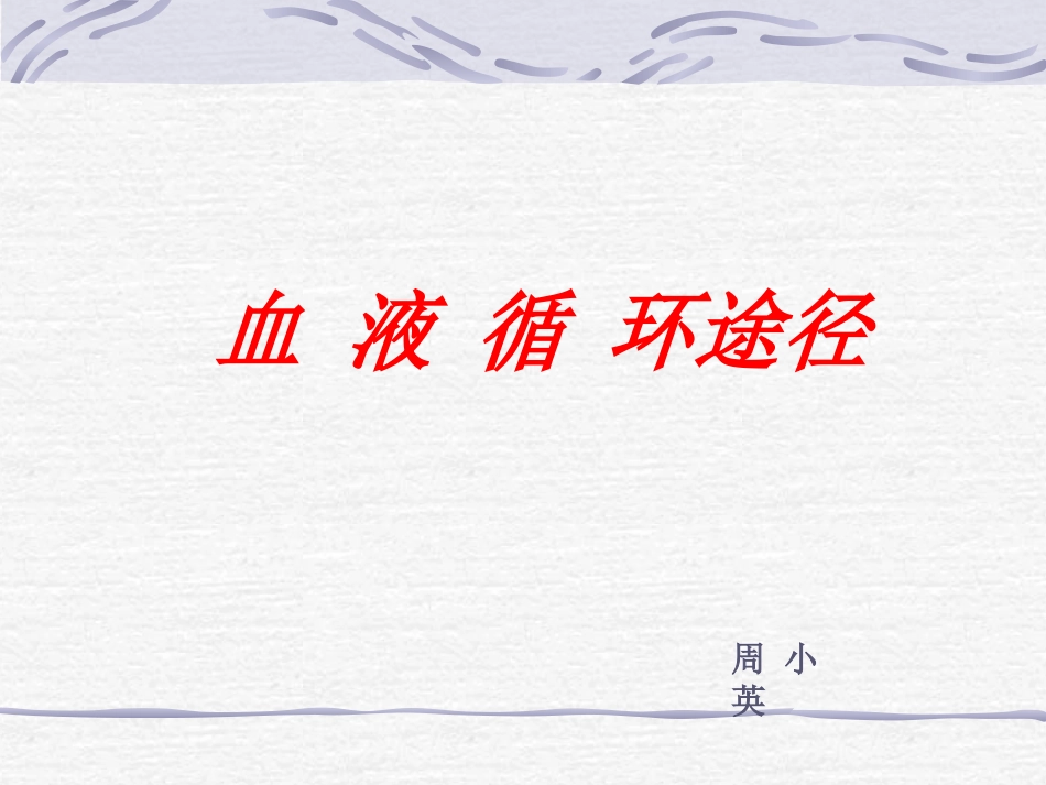 《血液的循环的途径》课件_第1页