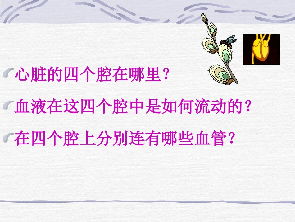 《血液的循环的途径》课件_第2页