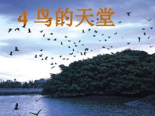 《鸟的天堂》课件1__(恢复)
