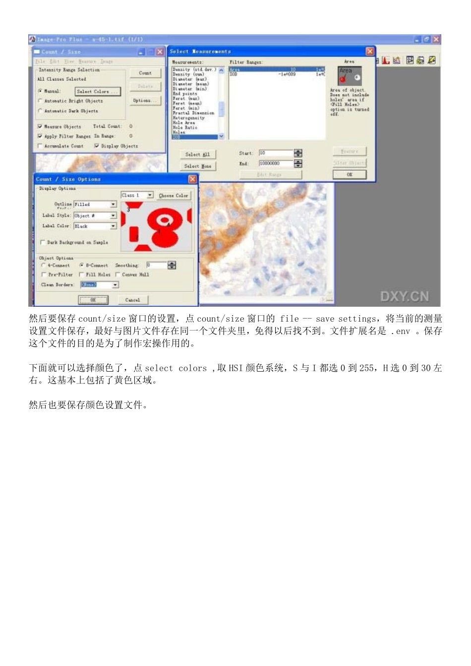 免疫组化的图象分析_第3页