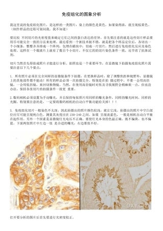 免疫组化的图象分析