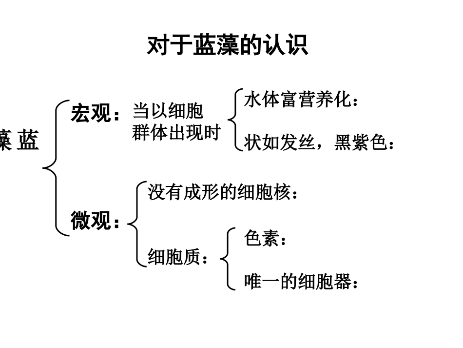 细胞的元素和化合物_第2页