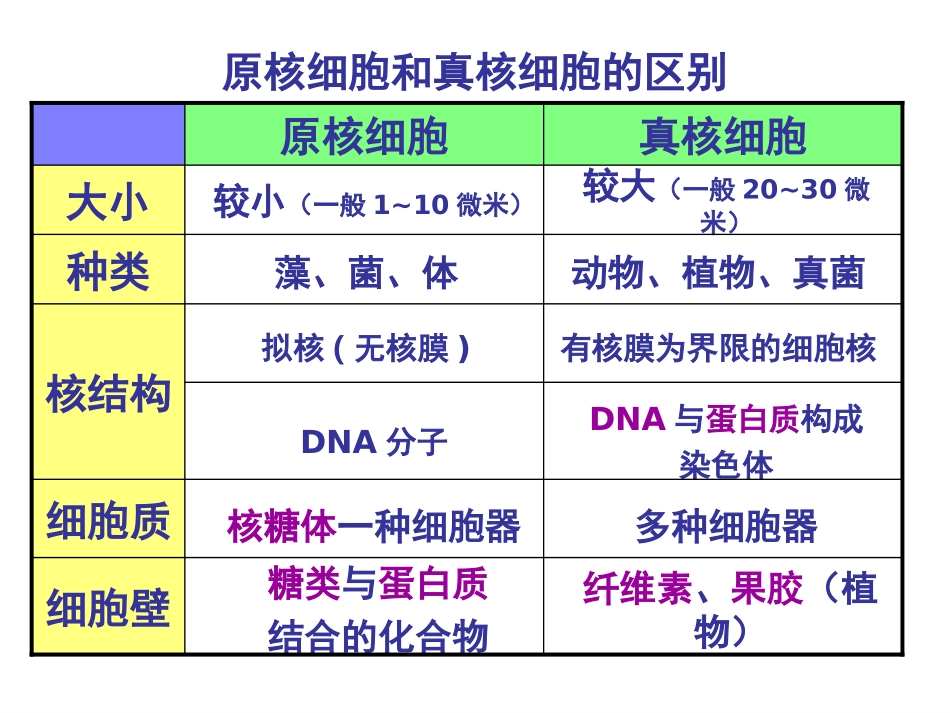 细胞的元素和化合物_第3页