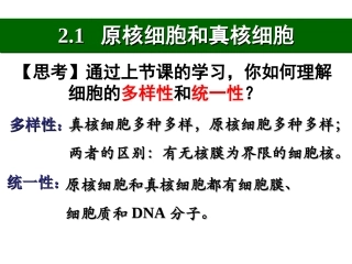 细胞的元素和化合物