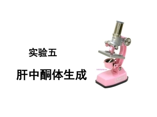 实验5：肝中酮体的生成(1071)