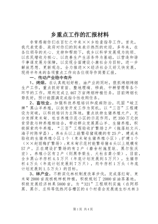乡重点工作的汇报材料