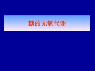 糖的无氧代谢