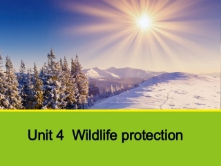 人教英语必修二同课异构课件：Unit4WildlifeprotectionSectionBLanguagePoints1