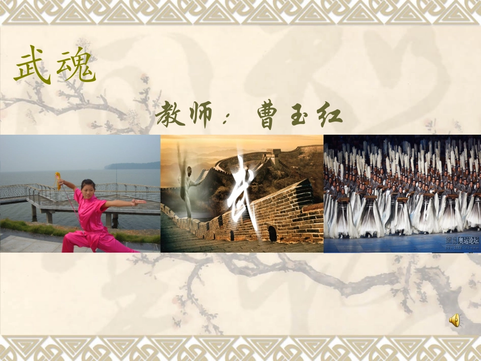 武术理论课教案_第1页