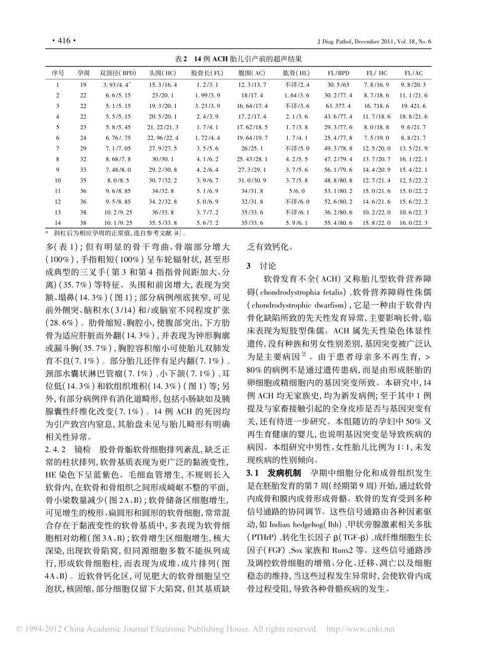 胎儿软骨发育不全14例临床病理分析_第3页