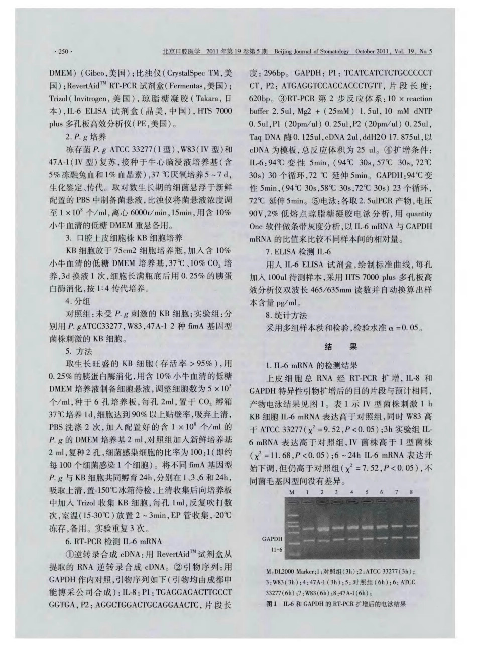 两种基因型牙龈卟啉单胞菌对上皮细胞的影响_第2页