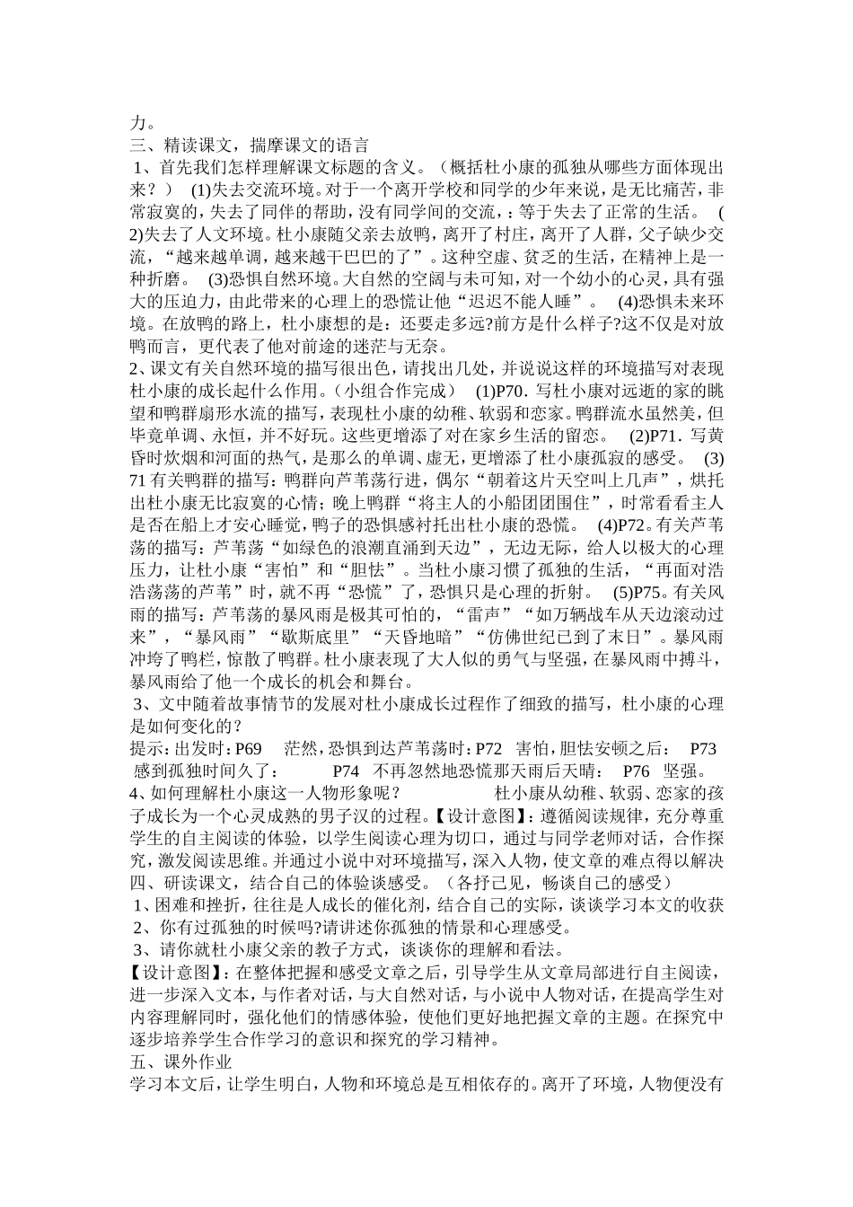 孤独之旅教案_第2页