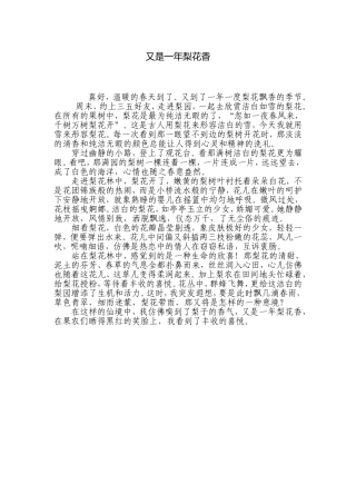 又是一年梨花香