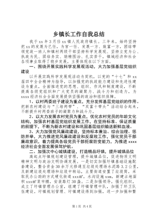 乡镇长工作自我总结