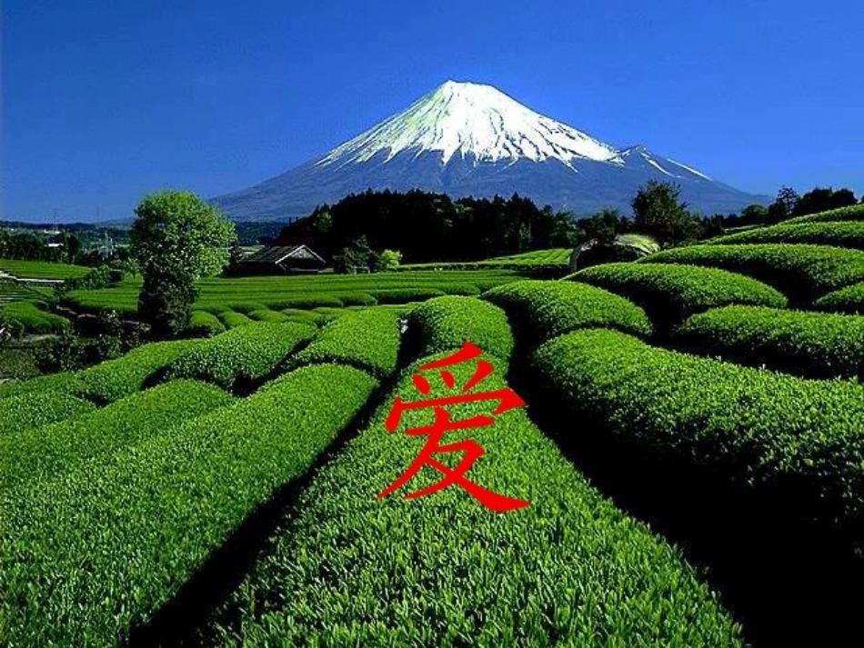 《盲孩子和他的影子》课件_第2页