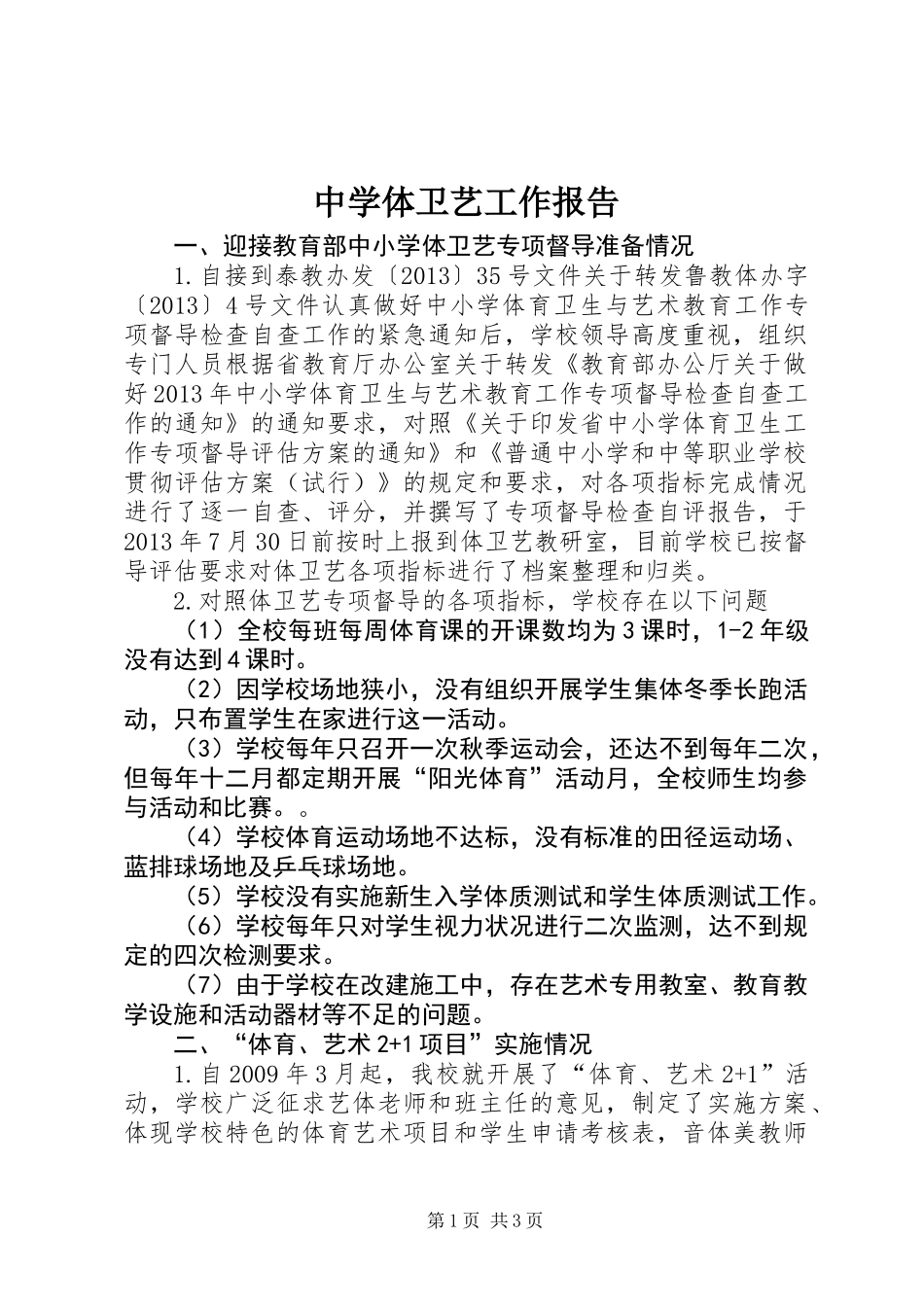 中学体卫艺工作报告_第1页