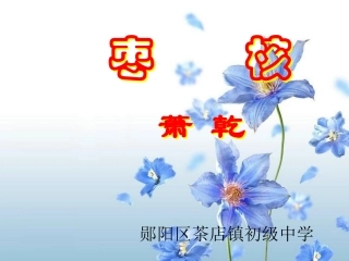 《枣核》课件