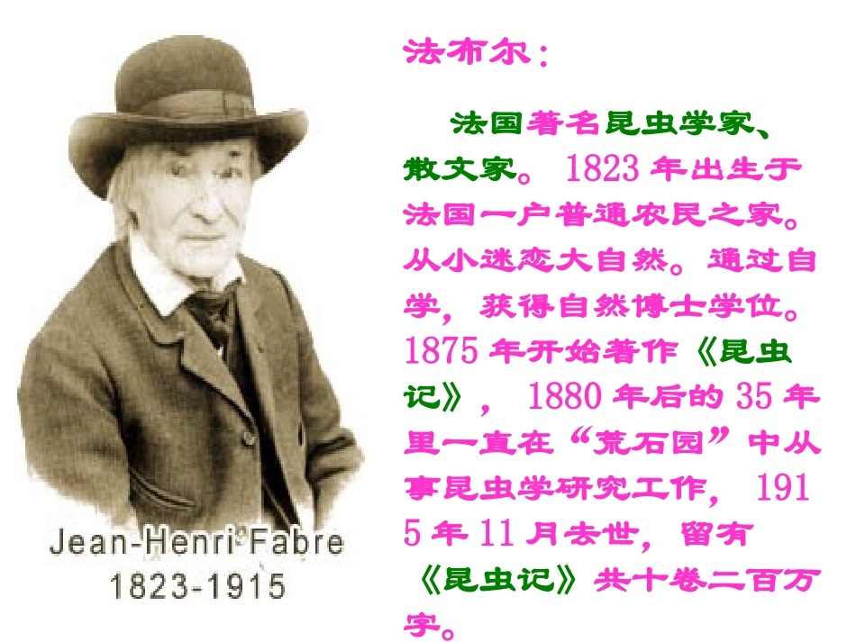 《绿色蝈蝈》PPT_第3页