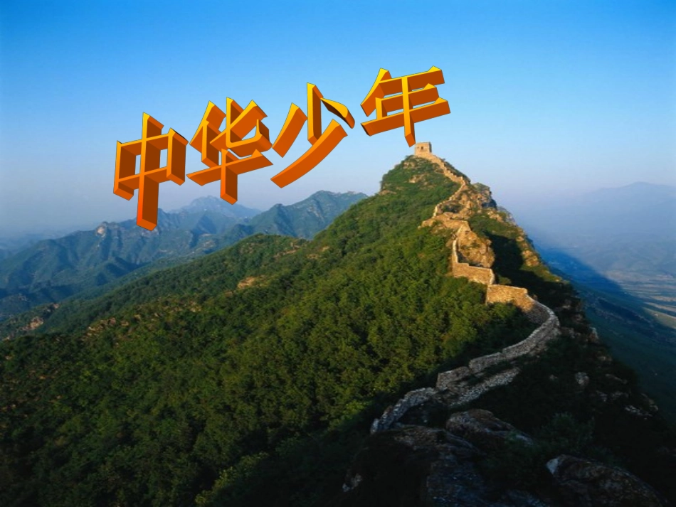 中华少年 (3)_第1页