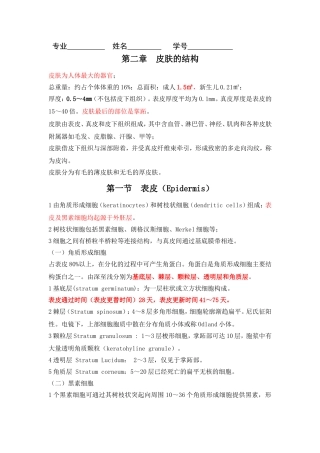皮肤性病课件总结