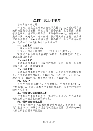 全村年度工作总结