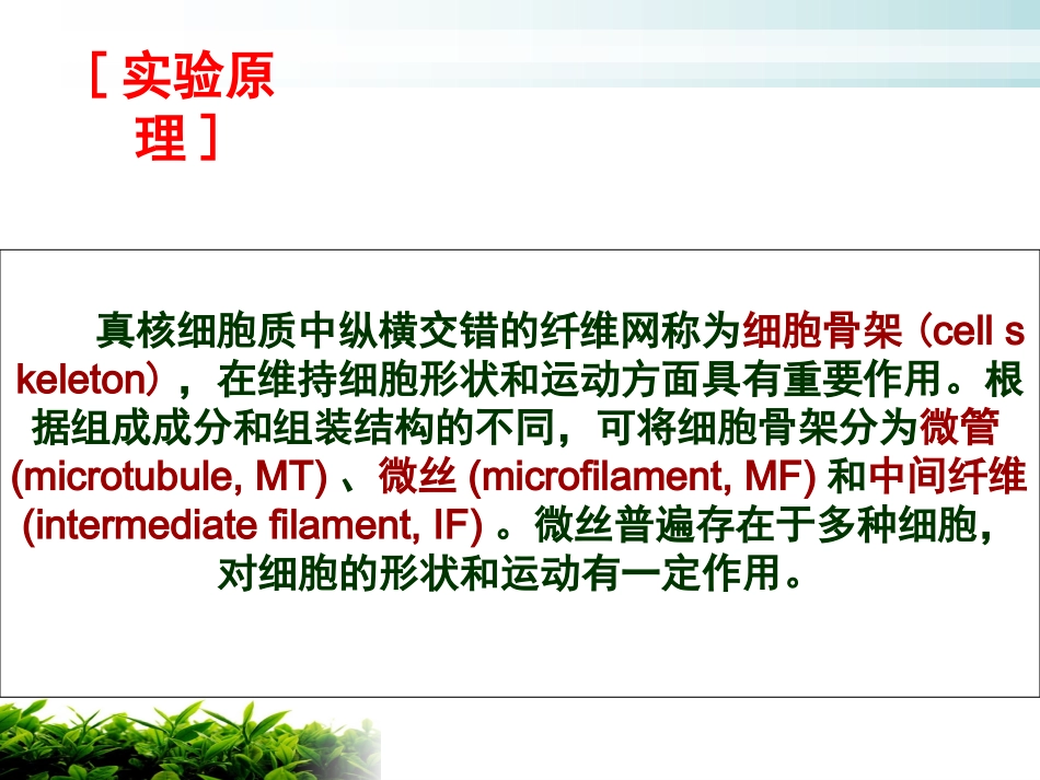 实验8 微丝染色及形态观察_第3页
