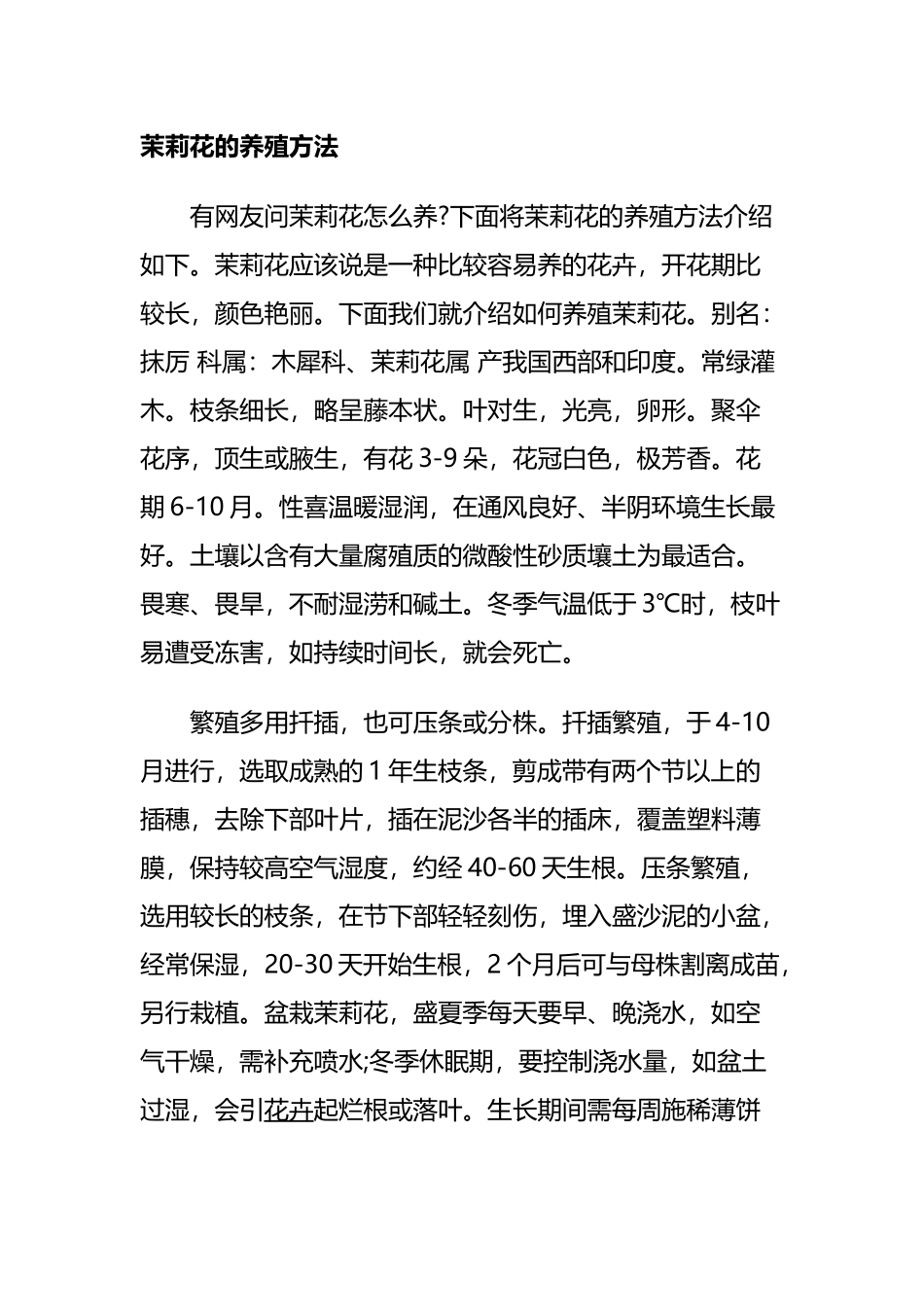 茉莉花的养殖方法_第1页