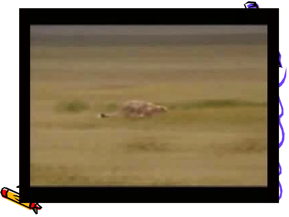 平均速度的测量_课件_第2页