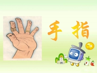 手指PPT课件