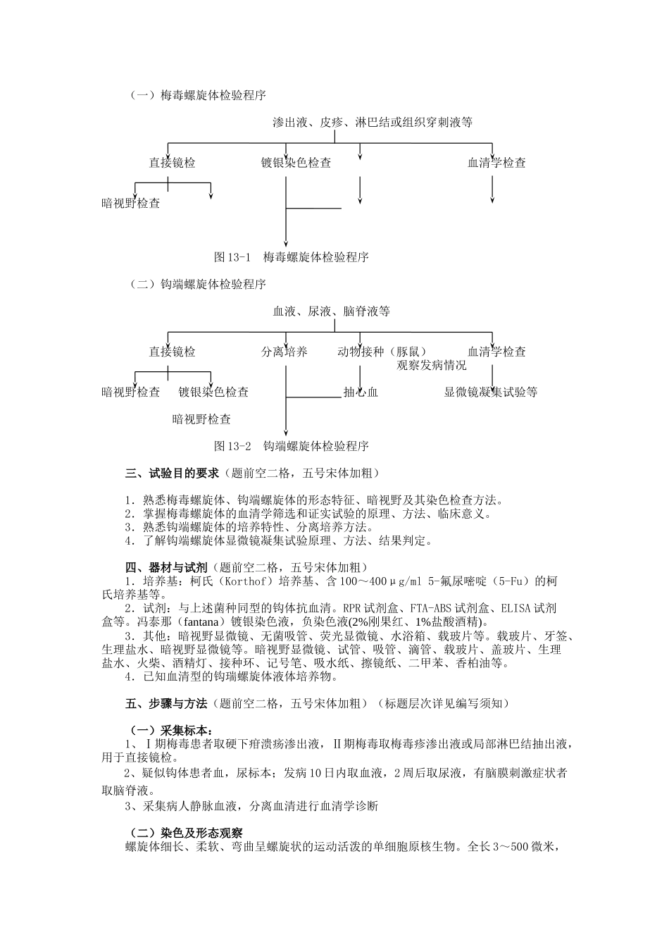 实验十三 螺旋体检验(1稿)_第2页