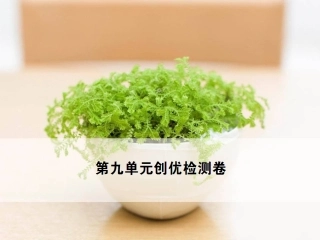 九年级化学第九单元检测卷(2)