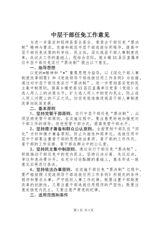 中层干部任免工作意见