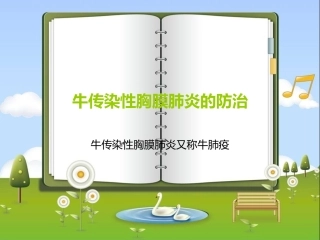 牛传染性胸膜肺炎的防止